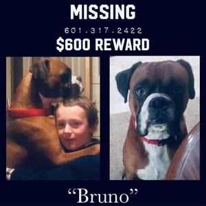 Meet your Posher, Greg'and